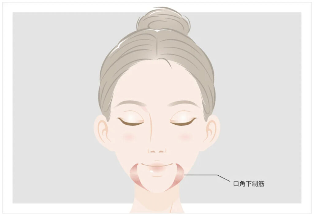 TCB大阪中央美容外科の口角筋イメージ画像